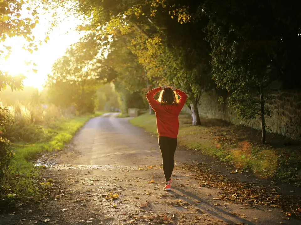 Person stretching on a tree-lined path in early morning sunlight